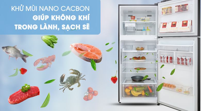 Đánh giá khách quan tủ lạnh LG inverter GN-D255BL